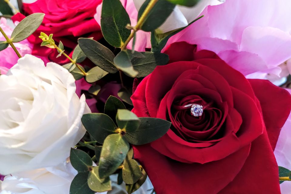 Planifiez votre pique-nique romantique à Grenoble avec Bulle d’Or