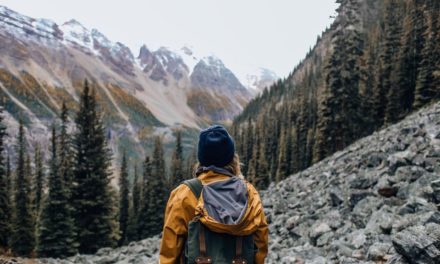 Comment survivre en pleine nature et sans ressources ?