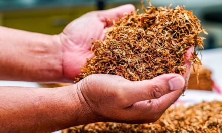 Existe-t-il des méthodes pour aromatiser le tabac sans produits chimiques ?