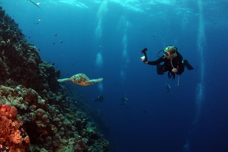 Plongez en mer sur la seconde barrière de corail au monde au Mexique