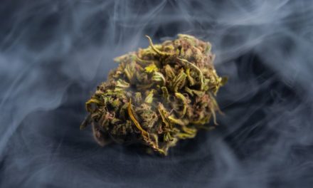 Trippy Treats, la boutique N1 de produits au muscimol, TRX, nano-THC et Delta-9