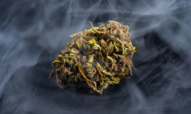 Trippy Treats, la boutique N1 de produits au muscimol, TRX, nano-THC et Delta-9