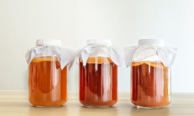 Le kombucha, allié naturel pour renforcer vos défenses et votre vitalité
