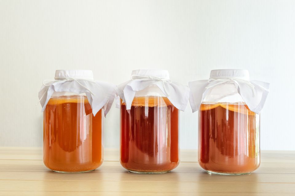 Le kombucha, allié naturel pour renforcer vos défenses et votre vitalité