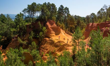 Que voir absolument dans le Parc naturel régional du Luberon ?