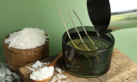 Bougie parfumée ou diffuseur : que choisir pour votre maison ?