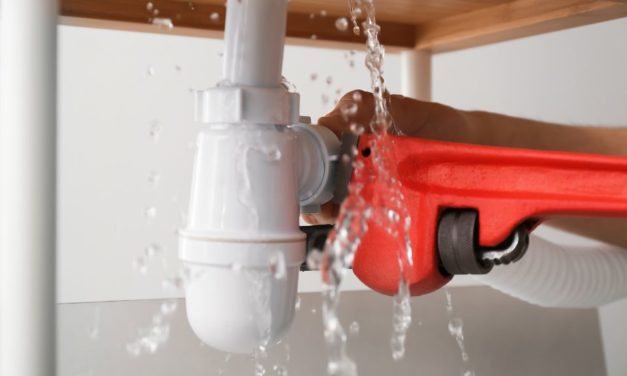 Que faire en cas de dégât des eaux dans votre logement ? 