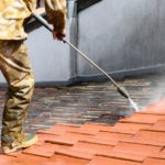 Mousses et lichens : pourquoi se développent-ils si vite sur votre toiture ?