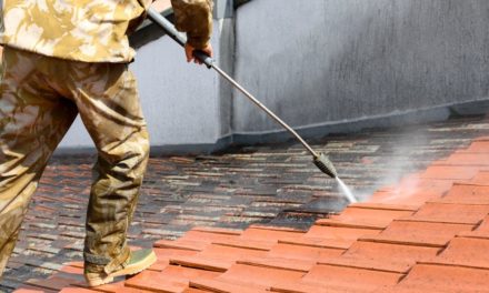 Mousses et lichens : pourquoi se développent-ils si vite sur votre toiture ?