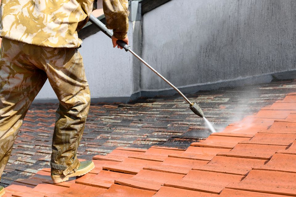 Mousses et lichens : pourquoi se développent-ils si vite sur votre toiture ?