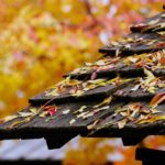 Pluie, vent, grêle : comment sécuriser sa maison après une tempête ?