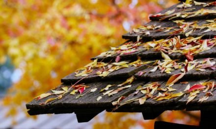 Pluie, vent, grêle : comment sécuriser sa maison après une tempête ?