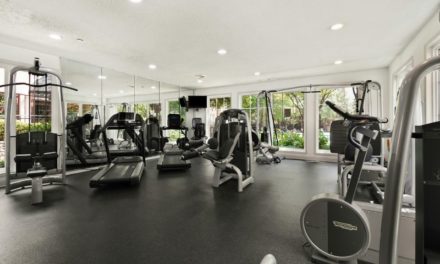La musculation fait-elle vraiment maigrir plus vite que le cardio ?