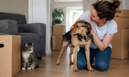 Pourquoi le comportement d’un animal peut-il changer après un déménagement ?