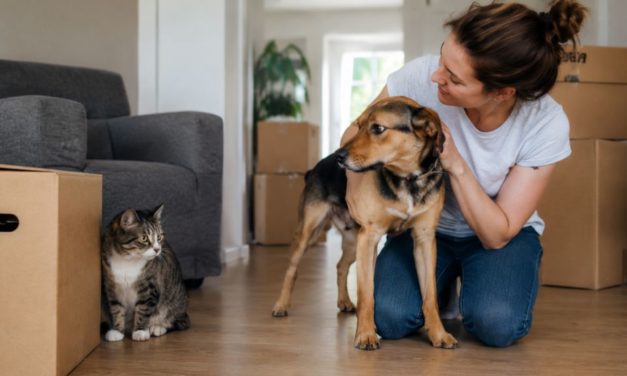 Pourquoi le comportement d’un animal peut-il changer après un déménagement ?